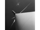 Warten auf Wind